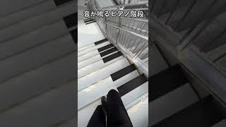Download lagu Piano stairs that really make sounds! #piano mp3 Download lagu Piano stairs that really make sounds! #piano mp3