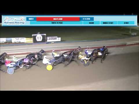 MAITLAND - 27/11/2016 - Race 8 - TROTS TV PACE
