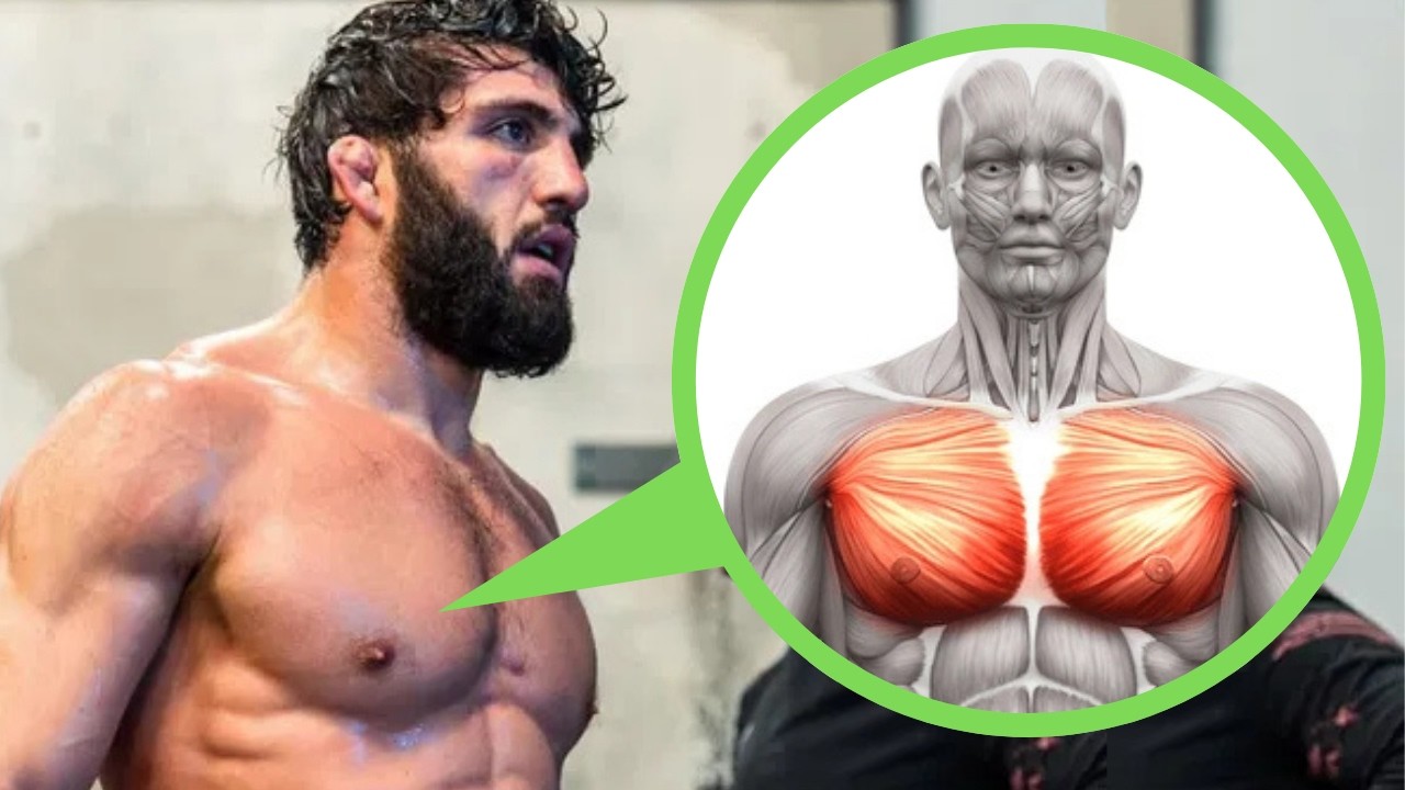 What MMA Does to Your Body