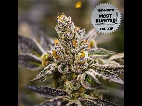 09 The Roots ft  Bahamadia   Push Up Ya Lighter