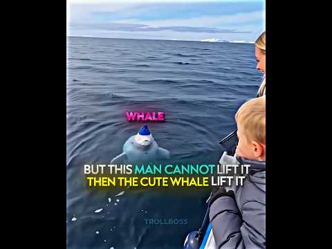 Cute Whale Kindness