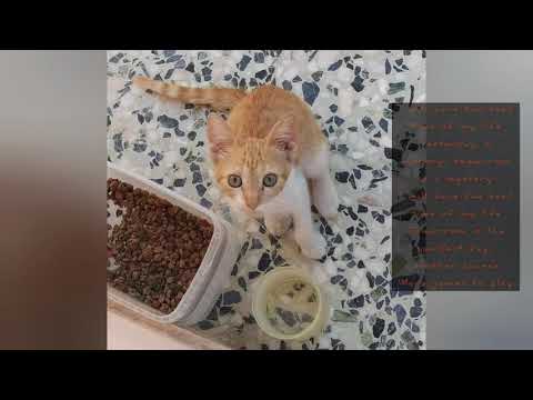 HELLOWEEN - Best Time