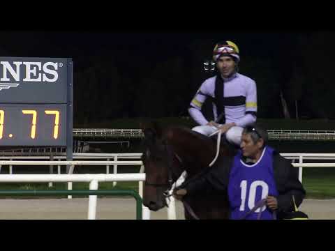 230604 C 10 - LINDOLFO - HIPODROMO DE MAROÑAS