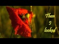 Nina Simone __ Poppies
