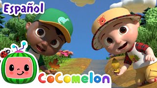 Thumbnail del capítulo