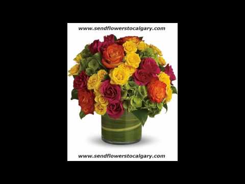 download lagu mp3 mp4 Best Florist Calgary, download lagu Best Florist Calgary gratis, unduh video klip Best Florist Calgary