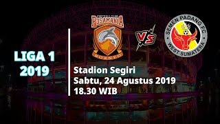 VIDEO: Live Streaming Liga 1 Borneo FC Vs Semen Padang Sabtu (24/8) Pukul 18.30 WIB