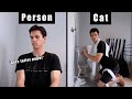 People vs. Cats (Part 3-4)