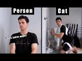 People Vs Cats Part 3 4