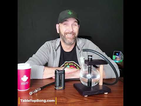 Crafty+ review - an honest look - Crafty Plus