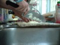 Lasagna Wmv