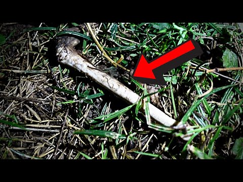 Ich verbringe eine Nacht komplett alleine im Wald!