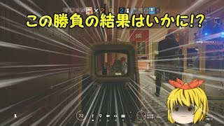 【ゆっくり実況】寅丸星とナズーリンのR6S　part2
