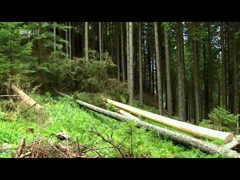 NATUR WISSEN Unsere Alpen ''Traun''  ORF III