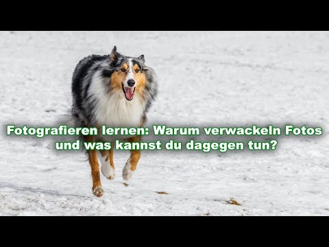 Fotografieren lernen: Warum verwackeln Fotos und was kannst du dagegen tun?