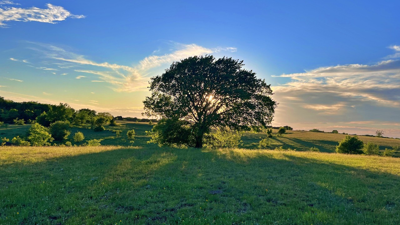 Running N Ranch listing video thumbnail