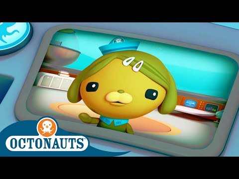 The Octonauts Little Helper