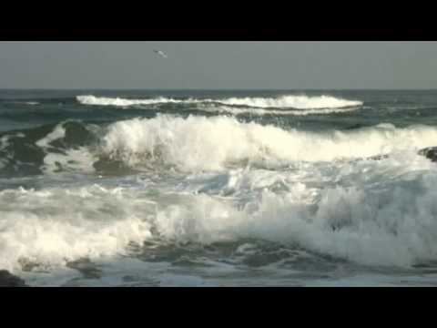 Click to Watch the Congregation for the Clergy: We Can Overcome Our Fears through Faith  video