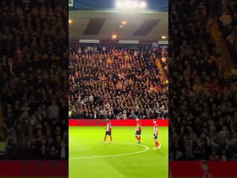 Lincoln City fans Unbelivable atmosphere #football #localclubs #footballclub #localfooty