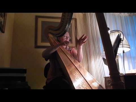Is This Love (Bob Marley) - solo harp