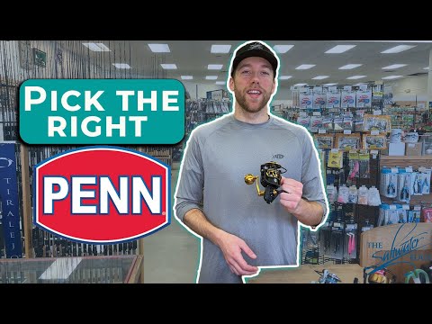 How to pick a reel for saltwater fishing -Comparing Three Penn Reels