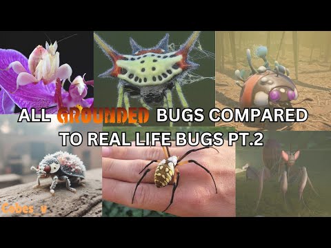 ALL GROUNDED BUGS COMPARED TO REAL LIFE BUGS UPDATED/ PT. 2!? | 2024 |