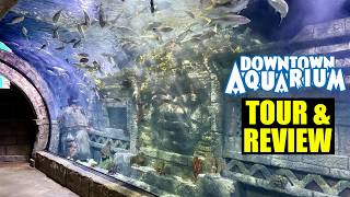 Downtown Aquarium Houston Tour & Review 2026