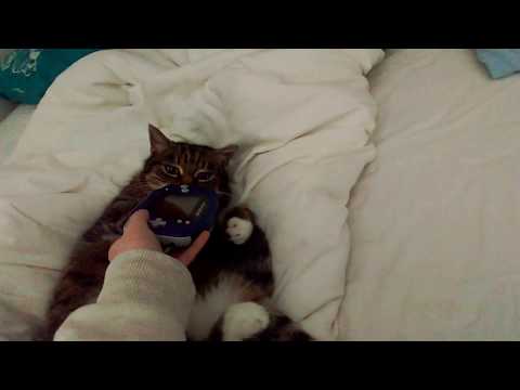 Hear the fucking Trumpets!