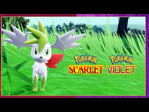 Pokemon Scarlet & Violet How To Change Shaymin Form