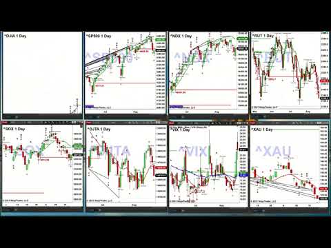 August 19th, 2PM Market Update on TFNN - 2021