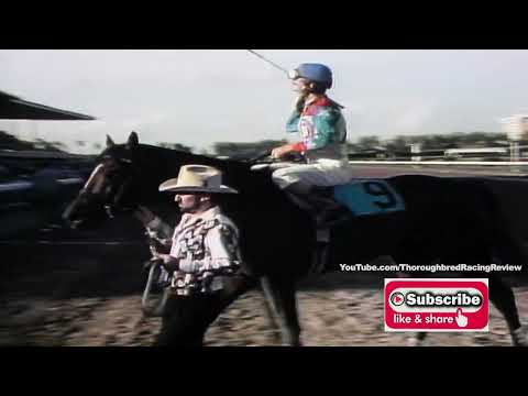 1995 GULFSTREAM PARK HDCP  CIGAR GOES TO HEAD OF CLASS