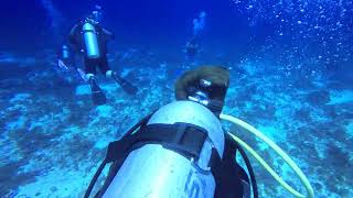 Cozumel 2023, Day 3, Dive 2, Part 3