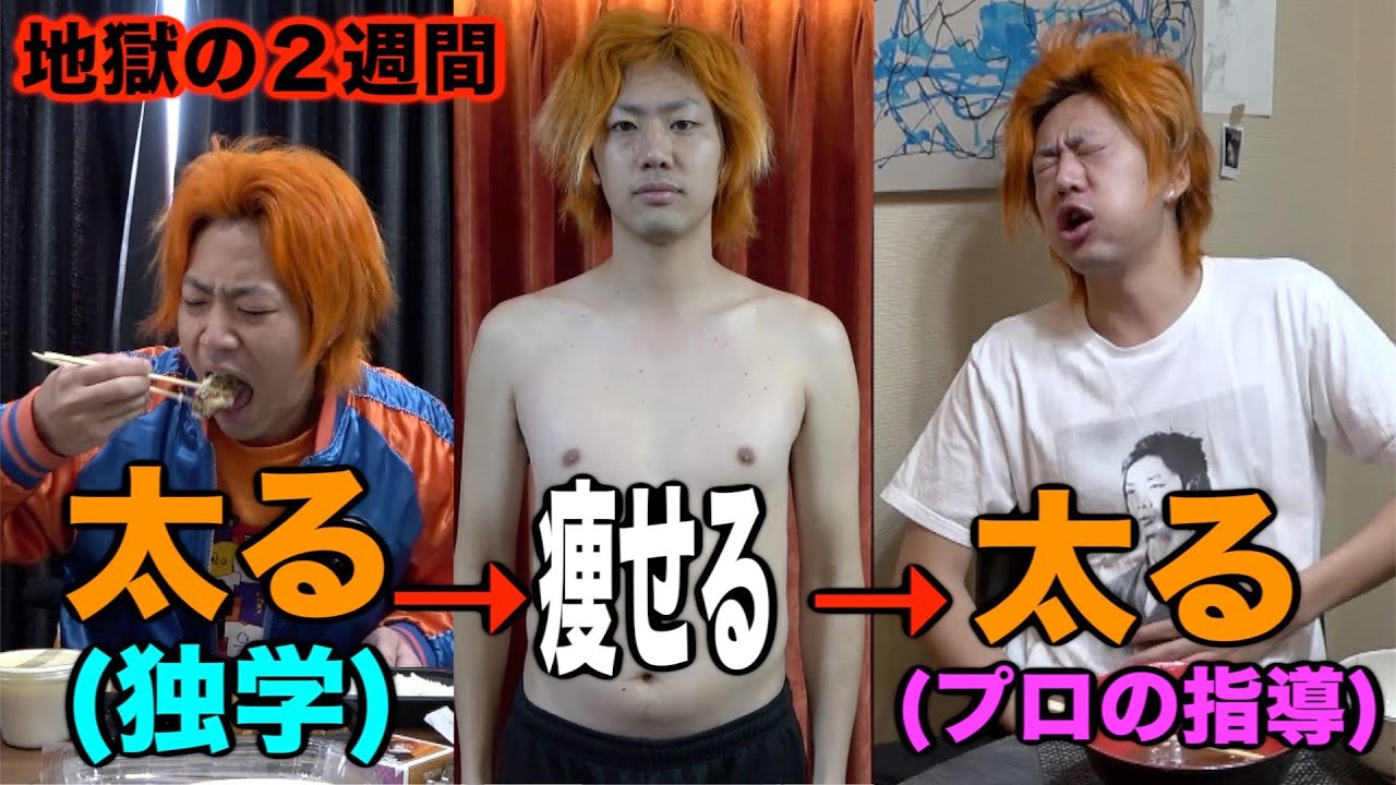 【地獄の二週間】独学の太りvsプロの教える太り、どっちが太るの!?
