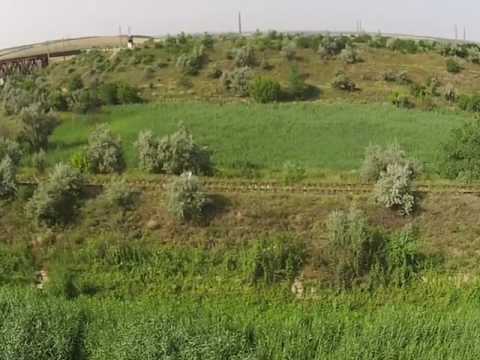 Пограничники задержали нарушителя с помощью беспилотника и общественности