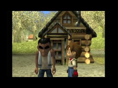 harvest moon a wonderful life playstation 2 cheats