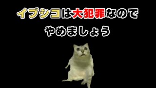 【猫ミーム】イブシコ、ダメ、ゼッタイ
