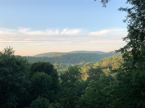 Freestyle Lecture 3: Deep Optimism and Morality