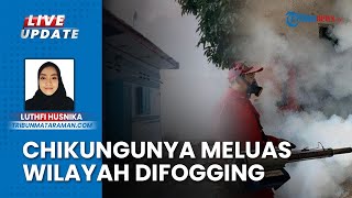 Chikungunya Mulai Serang Belasan Warga Kediri, Fogging Dilakukan di Wilayah Terinfeksi