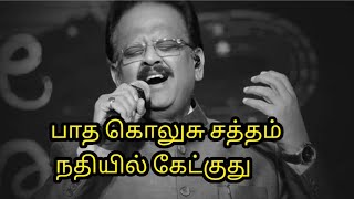 Download lagu பாத கொலுசு சத்தம் நதியில் கேட்குது|Paatha kolusu saththam|Tamil Songs|Tamil Love songs|SPB Songs mp3 Download lagu பாத கொலுசு சத்தம் நதியில் கேட்குது|Paatha kolusu saththam|Tamil Songs|Tamil Love songs|SPB Songs mp3