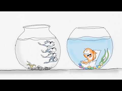 Cigna TTK Stopmotion Graphics