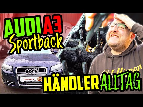 EXTREMER Ölverbauch! - Audi A3 1.6L Sportback - Marco muss DRAUFZAHLEN!