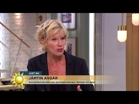 Ann Tiberg: "Det är rätt tid att avgå för Carin Jämtin" - Nyhetsmorgon (TV4)