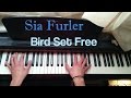 Sia - Bird Set Free (Piano Cover)