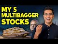How to find Multi-baggers? And, some Multi Baggers on which I am investing | Akshat Shrivastava