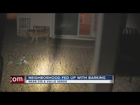 Henderson neighborhood fed up with dog's barking