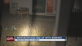 Henderson neighborhood fed up with dog