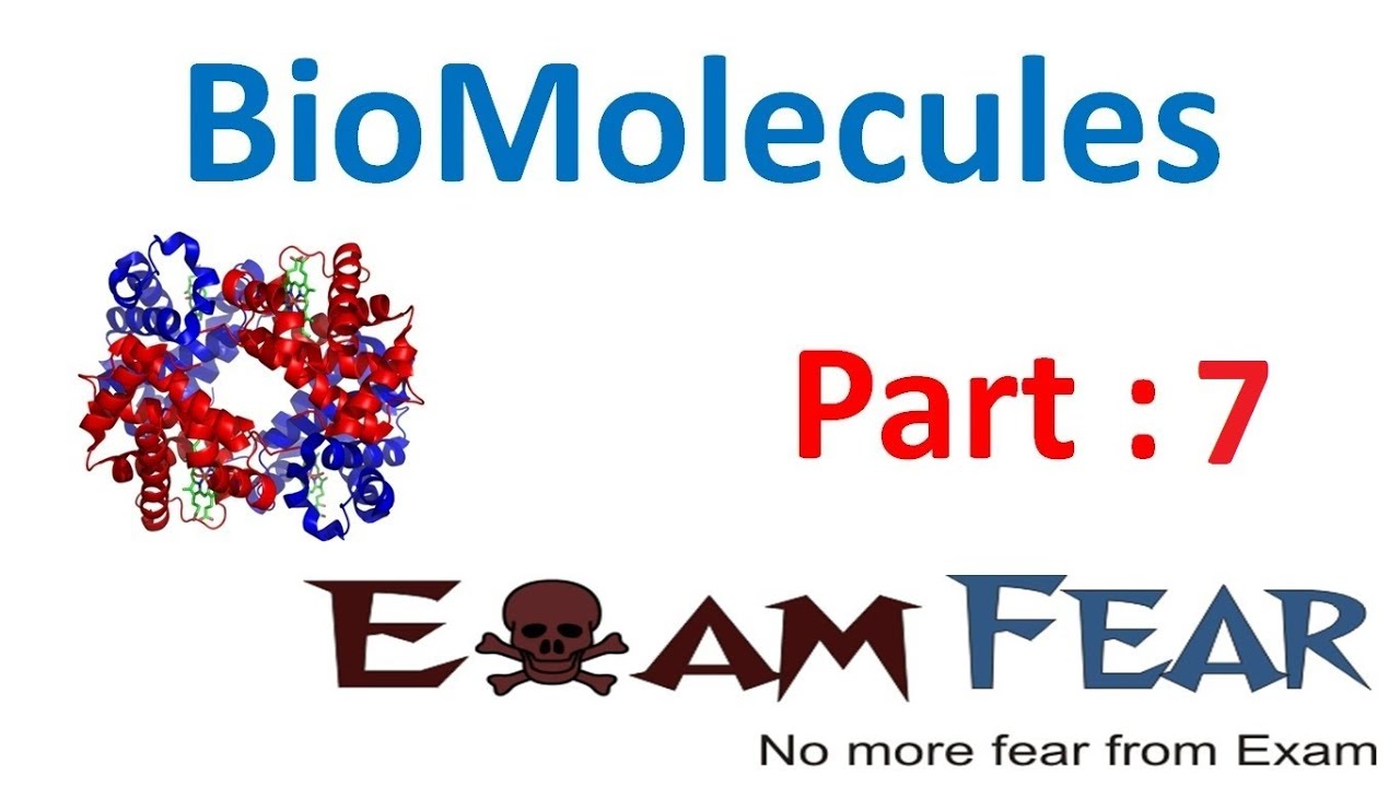 Chemistry Biomolecules part 7 (Glucose, Cyclic Structure) CBSE class 12 XII