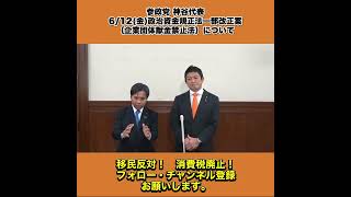 参政党 神谷代表 611木刑事訴訟法改正案について ぶら下がり会見 4/4