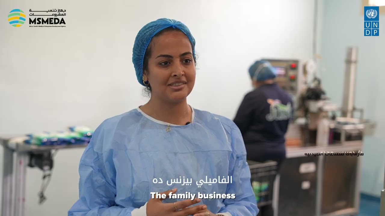 UNDP Egypt and MSMEDA on MSMEs DAY