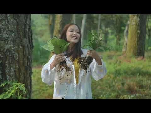 Leaf Parcel